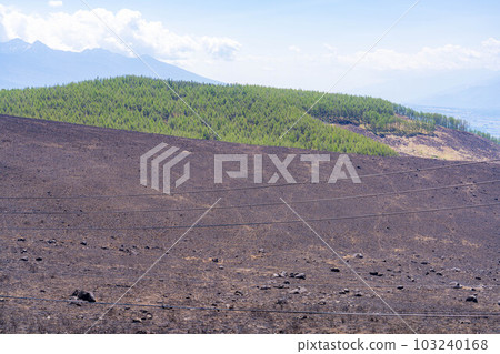 [Disaster image] Remains of wildfire in Kirigamine Highlands [Nagano Prefecture] 103240168