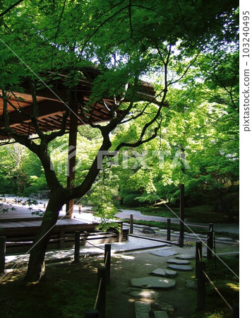 Nanzenji Temple Tenjuan during the fresh green season 103240495