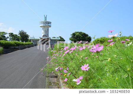 霧島之丘公園/展望台 霧島之丘公園/展望台 103240850