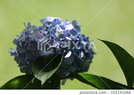 我在三池公園散步 103241066