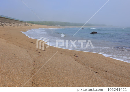 霧靄籠罩的犬吠崎燈塔和海岸 103241421