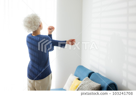 Elderly woman stretching by the window 103241708