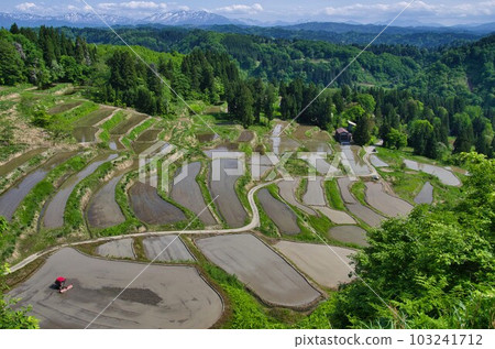已經開始準備插秧的小千屋市外之澤的梯田 103241712