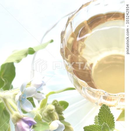 薰衣草茶和藍星特寫 103242934