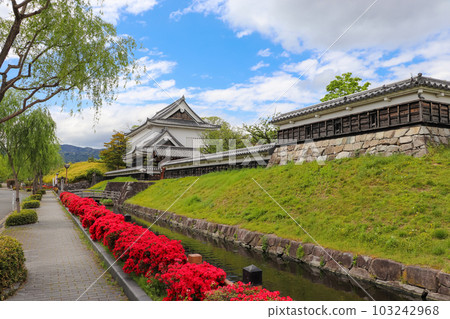 Nagaokakyo City, Kyoto Prefecture, Shoryu-ji Castle colored with bright red azaleas Nagaokakyo City, Kyoto Prefecture, Shoryu-ji Castle colored with bright red azaleas 103242968