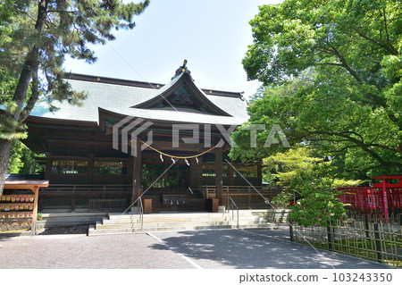 Hamamatsu Hachimangu Shrine Hamamatsu Hachimangu Shrine 103243350