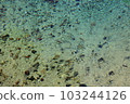 Crystal clear spring water pond where small fish swim ~ Benten Pond in Beppu, Yamaguchi Prefecture ~ 103244126