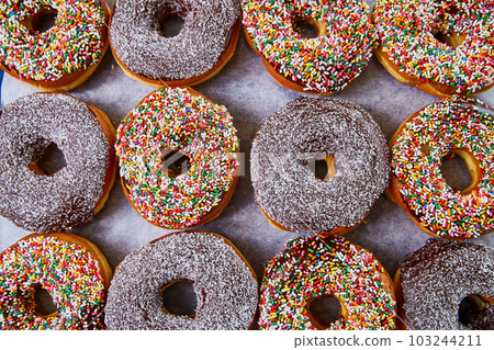Wall of donuts from above with colorful rainbow sprinkles, jimmies, and coconut shavings frosted Wall of donuts from above with colorful rainbow sprinkles, jimmies, and coconut shavings frosted 103244211