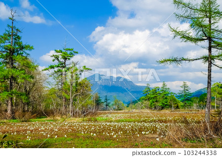 Mt. Hiuchigatake and skunk cabbage Mt. Hiuchigatake and skunk cabbage 103244338