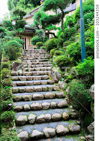 Arima Onsen town in autumn "back alley full of greenery" 103244359