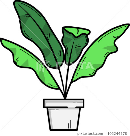 cute air purifying plants	 103244578