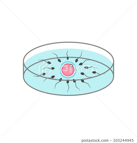 Illustration of in vitro fertilization Illustration of in vitro fertilization 103244945