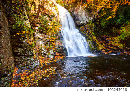 Stunning cliffs covered in golden leaves along river in fall with raging waterfall 103245018