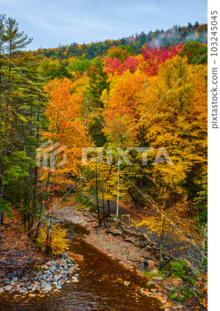 Stunning colorful fall forest with river flowing through  103245045