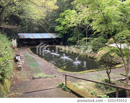 伊勢原釣魚池 103245052