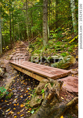 Side view of hiking trail in fall forest with focus on wood plank bridge Side view of hiking trail in fall forest with focus on wood plank bridge 103245100