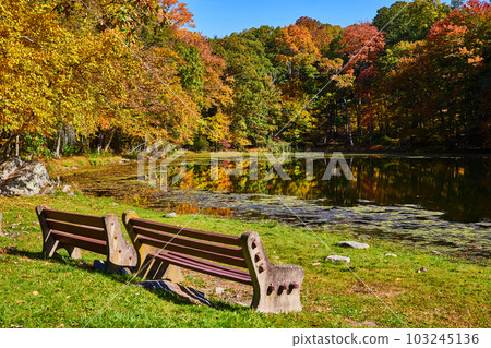 Pair of park benches on grass by small pond lined with fall forest trees Pair of park benches on grass by small pond lined with fall forest trees 103245136