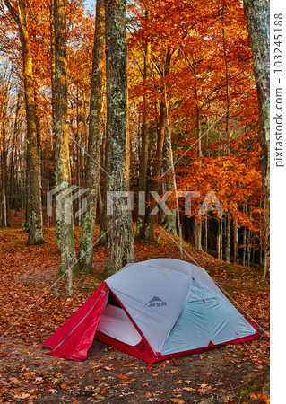 MSR red and white camping tent set up in forest in late fall with orange leaves surrounding MSR red and white camping tent set up in forest in late fall with orange leaves surrounding 103245188