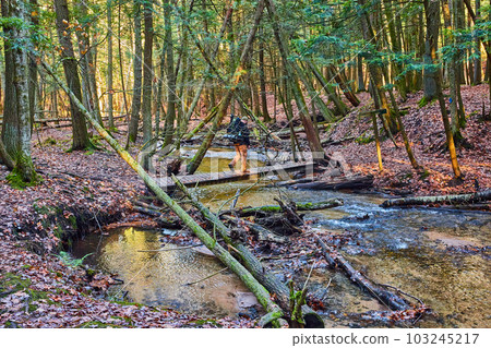 Hiker crossing small bridge over creek in forest during late fall Hiker crossing small bridge over creek in forest during late fall 103245217