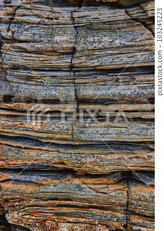 Layers of rock that look like petrified wood on Maine coast 103245225