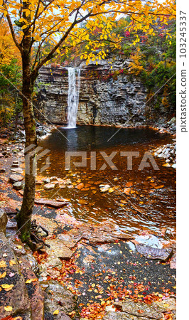 Fall vibes in forest with large waterfall going over cliff edge 103245337