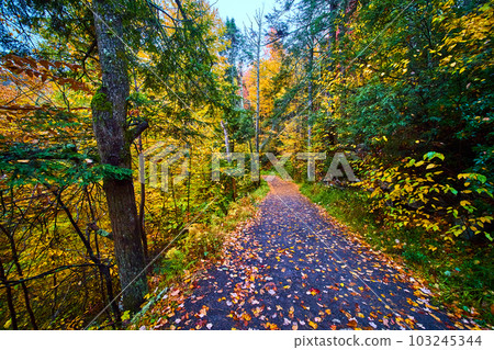 Fall hiking trail in New York park covered in colorful foliage 103245344