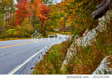 Roadside in Vermont with view of fall trees and rocky wall in foreground 103245346