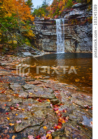Large waterfall over cliff edge into body of water with rocks and fall leaves 103245389