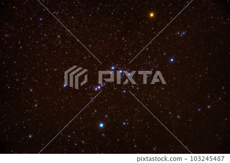 Winter Starry Sky / Orion 103245487