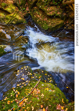 Side of small cascading falls with mossy rocks covered in fall leaves Side of small cascading falls with mossy rocks covered in fall leaves 103245515