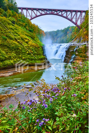 Stunning waterfall in gorge with arched train track bridge above and purple field flowers in front 103245534