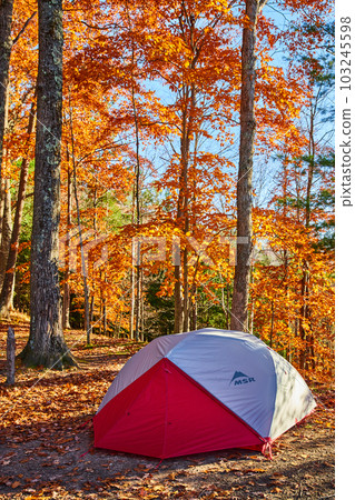Red and white MSR camping tent set up on campsite in orange leaf forest of late fall Red and white MSR camping tent set up on campsite in orange leaf forest of late fall 103245598