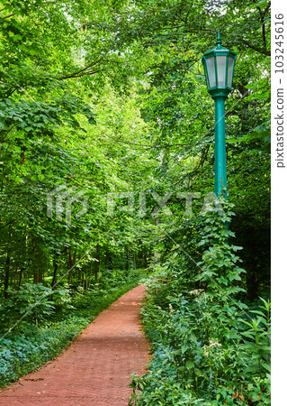 Green lamp post and brick path through a lush green forest in college campus 103245616