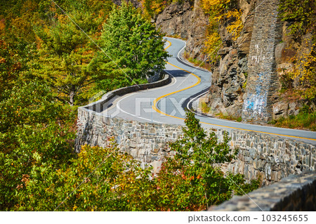 Detail zoom on road with stone wall winding through forest along cliffs Detail zoom on road with stone wall winding through forest along cliffs 103245655