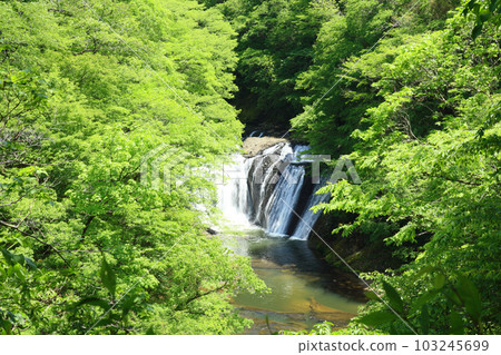 Fresh green Isege Falls Fresh green Isege Falls 103245699