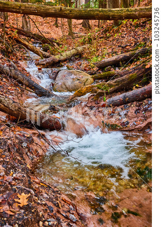 Fallen logs around fall forest river creek through clay with clear waters in Michigan Fallen logs around fall forest river creek through clay with clear waters in Michigan 103245736