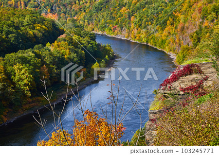 Patch of Delaware river from above in early fall with rock covered in red vines 103245771
