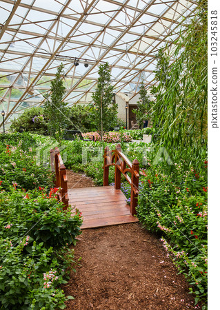 Small wood walking bridge on path inside botanical gardens with glass roof Small wood walking bridge on path inside botanical gardens with glass roof 103245818