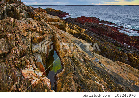 Maine coast low tide with layers of rocky coasts, mineral veins, and small tide pool 103245976