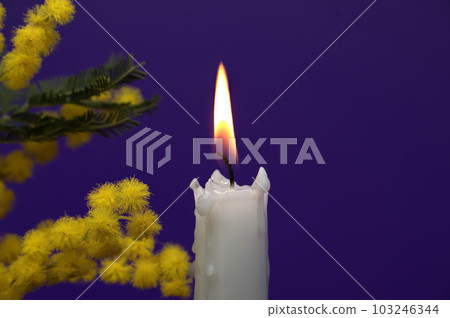 Candle flame and yellow mimosa flowers over blue 103246344