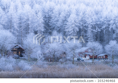 《長野縣》中卷湖雪景/白霜之森 《長野縣》中卷湖雪景/白霜之森 103246468