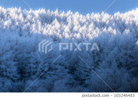 《長野縣》中卷湖雪景/白霜之森 103246483