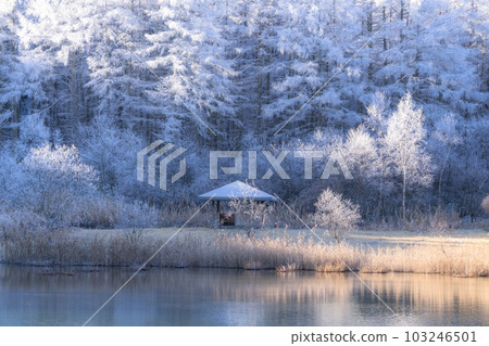 《長野縣》中卷湖雪景/白霜之森 103246501