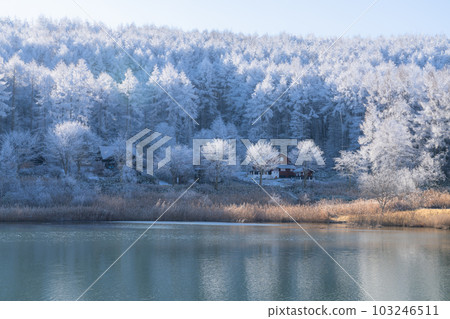 《Nagano Prefecture》Lake Nakamaki Snow Scenery / Forest of Hoarfrost 103246511