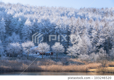 《Nagano Prefecture》Lake Nakamaki Snow Scenery / Forest of Hoarfrost 《Nagano Prefecture》Lake Nakamaki Snow Scenery / Forest of Hoarfrost 103246520