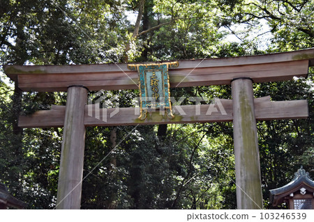 大神神社入口處的第一個木製鳥居 103246539