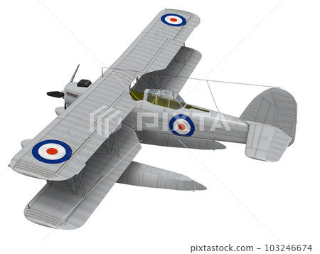 仙女海狐 仙女海狐 103246674