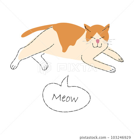 Bicolor cat . Cute cartoon characters . Flat shape and line stroke design . Vector illustration . 103246929