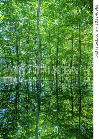 Air shrine Air shrine 103246969