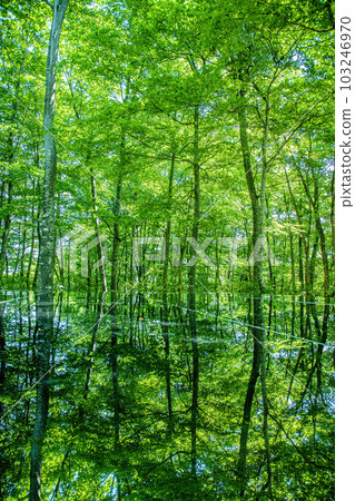 空中神社 103246970